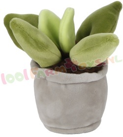 Knuffel Cactus met grijze pot 12-17 cm