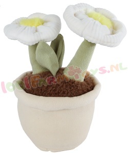 Knuffel Woestijnplant met witte pot