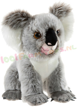 Koala Beer 28 cm