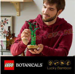 LE10344 5
