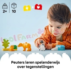 LE10442 10