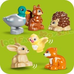 DUPLO 10480 foto 13