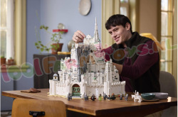LEGO Algemeen 11377 foto 19