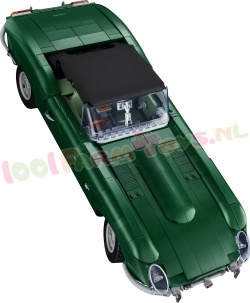 LEGO Icons 11381 foto 24