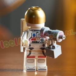 LEGO Icons 11382 foto 14