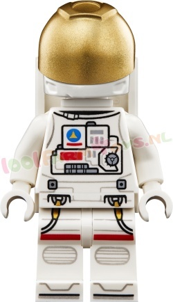 LEGO Icons 11382 foto 23
