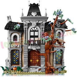 LEGO Icons 11383 foto 3