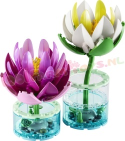LEGO Botanical 11511 foto 1