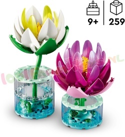 LEGO Botanical 11511 foto 10
