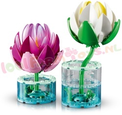 LEGO Botanical 11511 foto 11