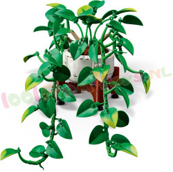 LEGO Botanical 11512 foto 2
