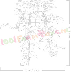 LEGO Botanical 11512 foto 4