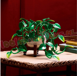 LEGO Botanical 11512 foto 8