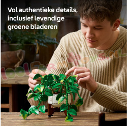 LEGO Botanical 11512 foto 12