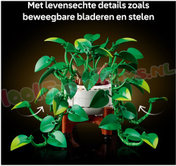 LEGO Botanical 11512 foto 14
