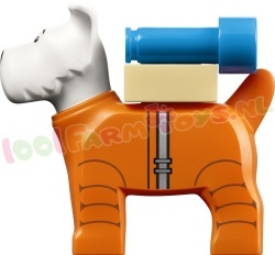 LEGO Icons 21367 foto 19