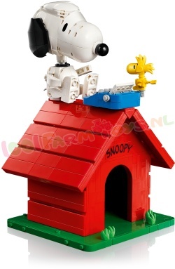 LEGO Ideas 21368 foto 2