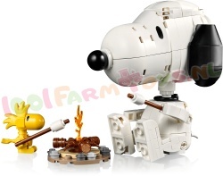 LEGO Ideas 21368 foto 3