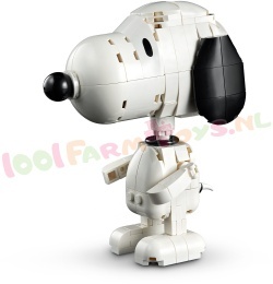 LEGO Ideas 21368 foto 7