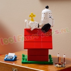 LEGO Ideas 21368 foto 10