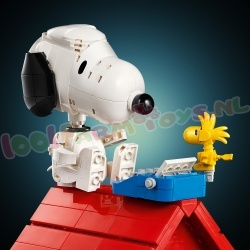 LEGO Ideas 21368 foto 11
