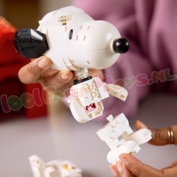 LEGO Ideas 21368 foto 12