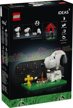 LEGO Ideas 21368 foto 16