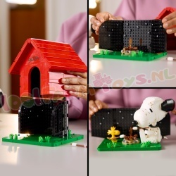 LEGO Ideas 21368 foto 19