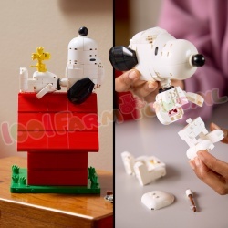 LEGO Ideas 21368 foto 20