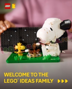 LEGO Ideas 21368 foto 23