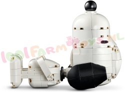 LEGO Ideas 21368 foto 25