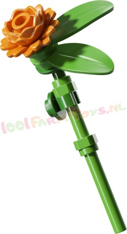 LEGO Ideas 21372 foto 20
