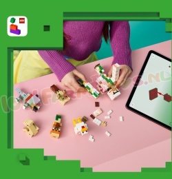 LEGO Minecraft 21592 foto 15