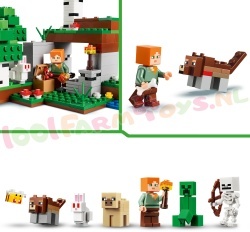 LEGO Minecraft 21593 foto 13