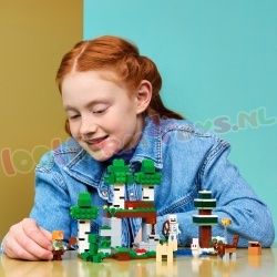LEGO Minecraft 21593 foto 15
