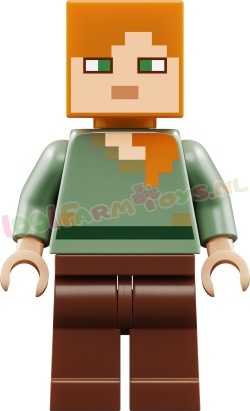 LEGO Minecraft 21593 foto 17