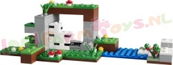 LEGO Minecraft 21593 foto 18