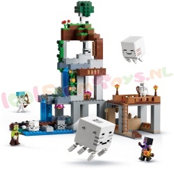 LEGO Minecraft 21597 foto 11
