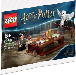 LEGO Harry Potter en Hedwig (Polybag)