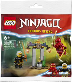 Ninjago Tempelstrijd van Kai en Rapton
