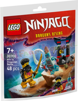 NINJAGO Arin vs. Draconiër (PolyBag)