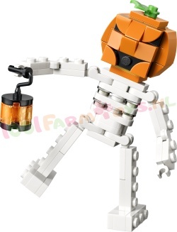 LEGO Creator Leuk Halloweenskelet
