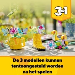 LE31149 17