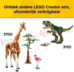 LE31161 23