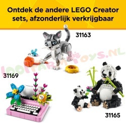 LE31162 22