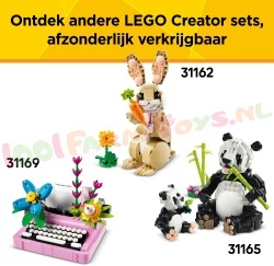 LE31163 25
