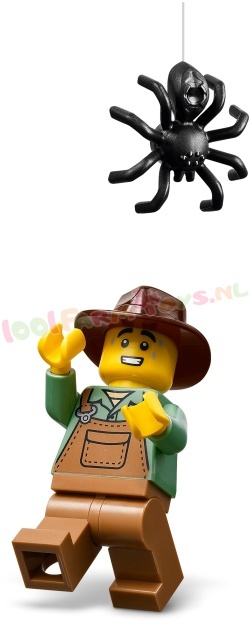 LEGO Algemeen 40822 foto 3