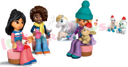 LEGO Friends 42698 foto 4