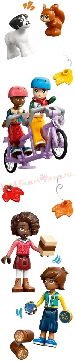 LEGO Friends 42705 foto 3