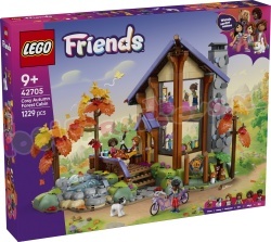 LEGO Friends 42705 foto 12
